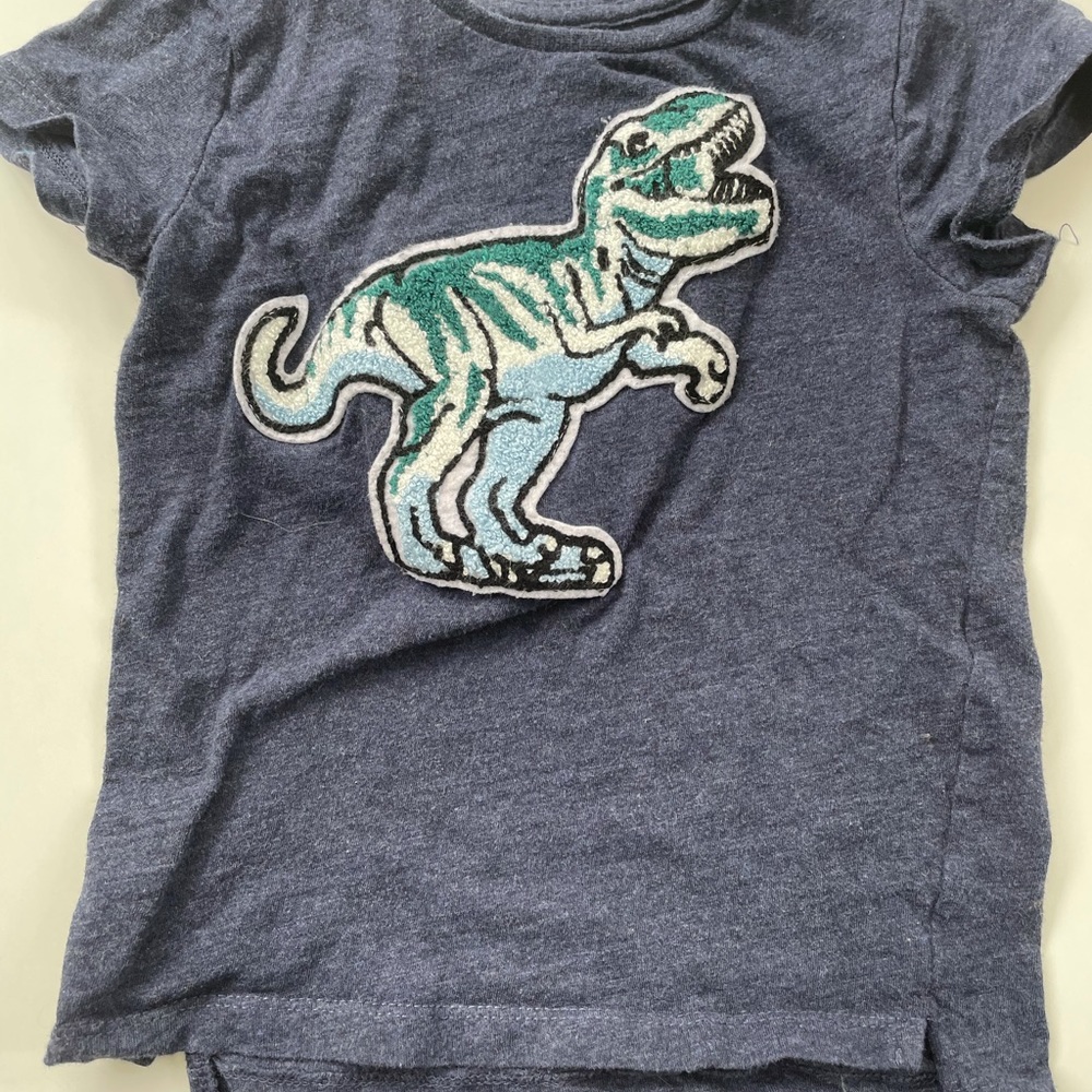 Cotton on Dino tee